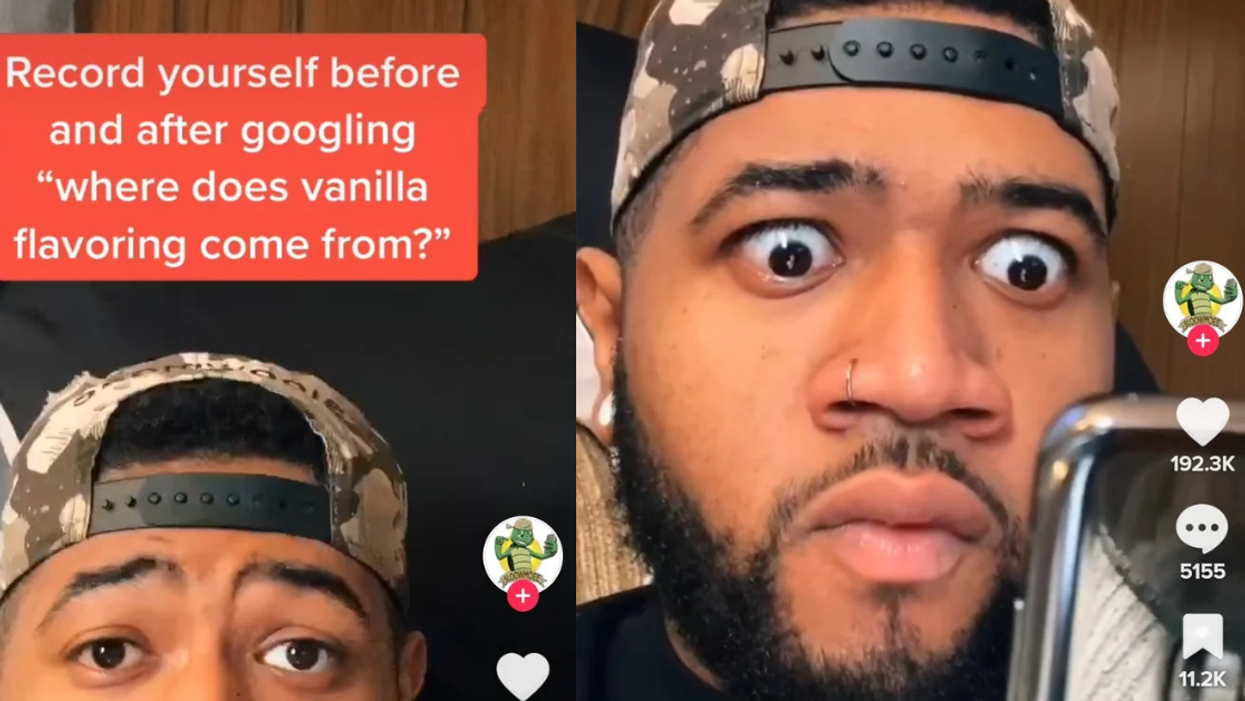 TikTokers Are Absolutely Horrified After Googling Where Some Vanilla Flavoring Comes From