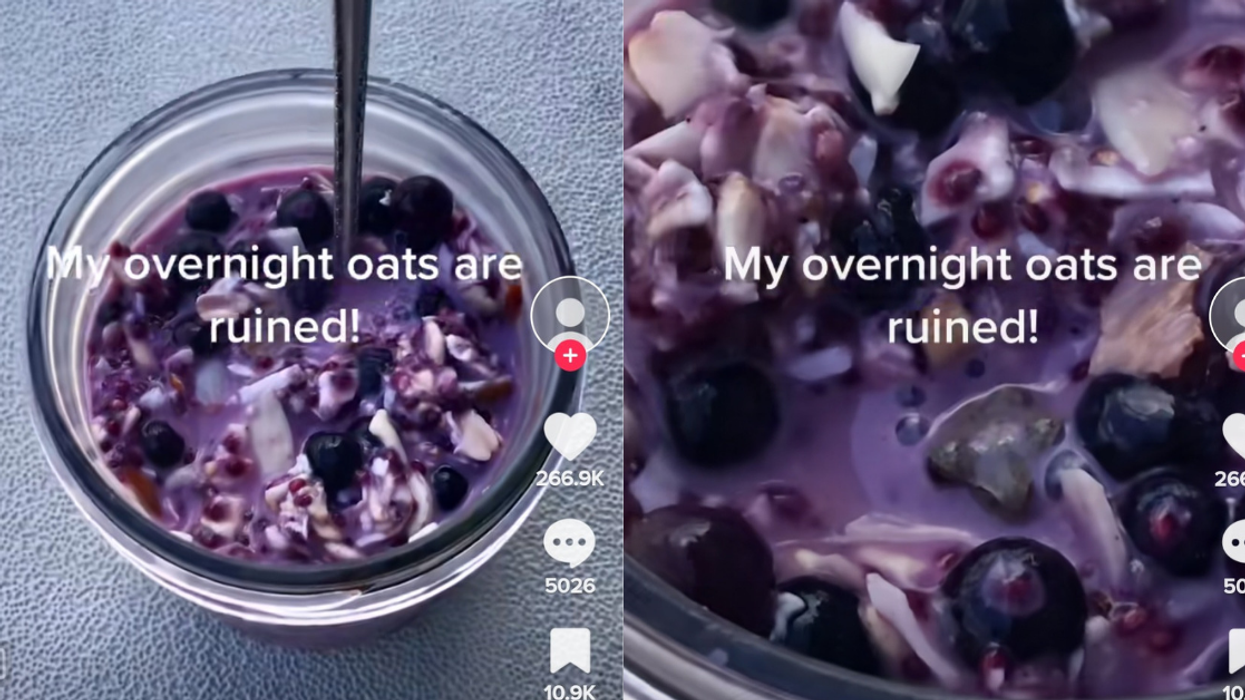 Woman Has Her 'Overnight Oats' Ruined By A Very Unwelcome Guest—And It's Kind Of Adorable