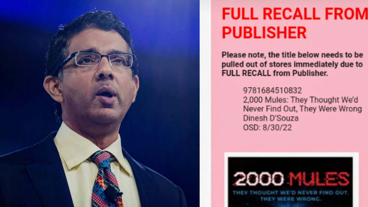 Right-wing Activist Trolled After His Voter Fraud Book Is Recalled 'Due To A Publishing Error'