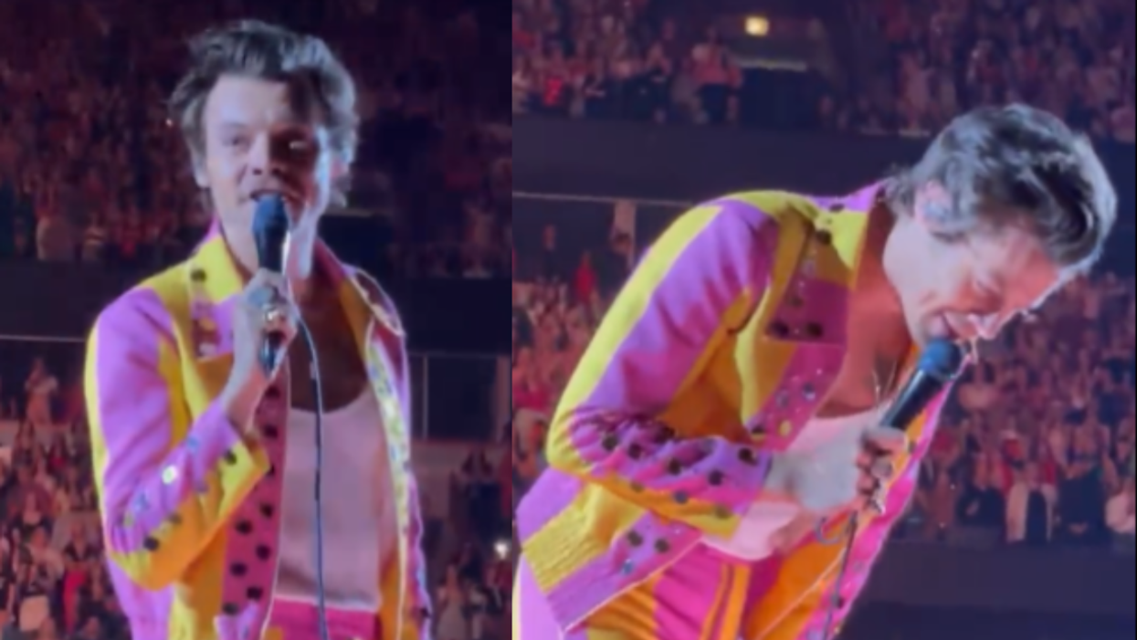 Someone Threw a Bottle at Harry Styles During His Show—And It Hit Him Right in the Junk