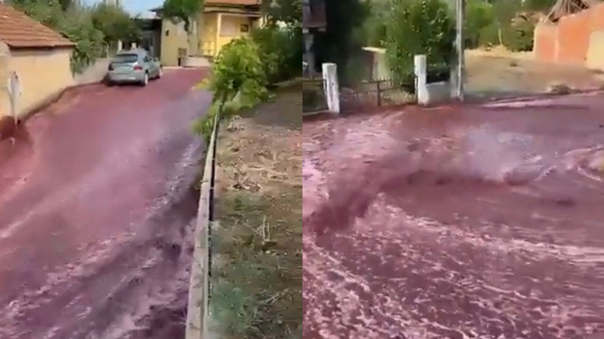 Red Wine Floods Small Portuguese Town After Distillery's Massive Storage Tanks Burst