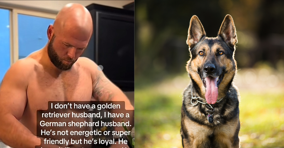 Viral Post About Women Desiring 'German Shepherd Husbands' Gets Hilariously Roasted