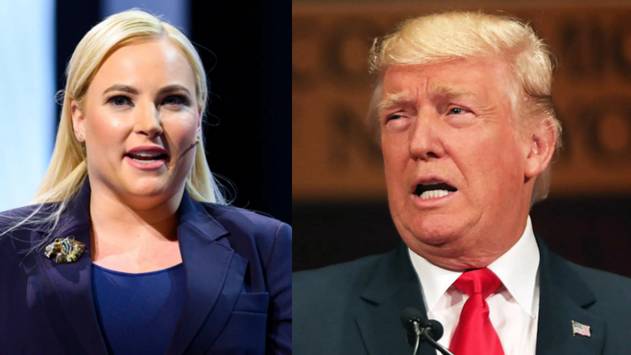 Meghan McCain Claps Back At Trump After He Mocks John McCain's Vietnam Injury