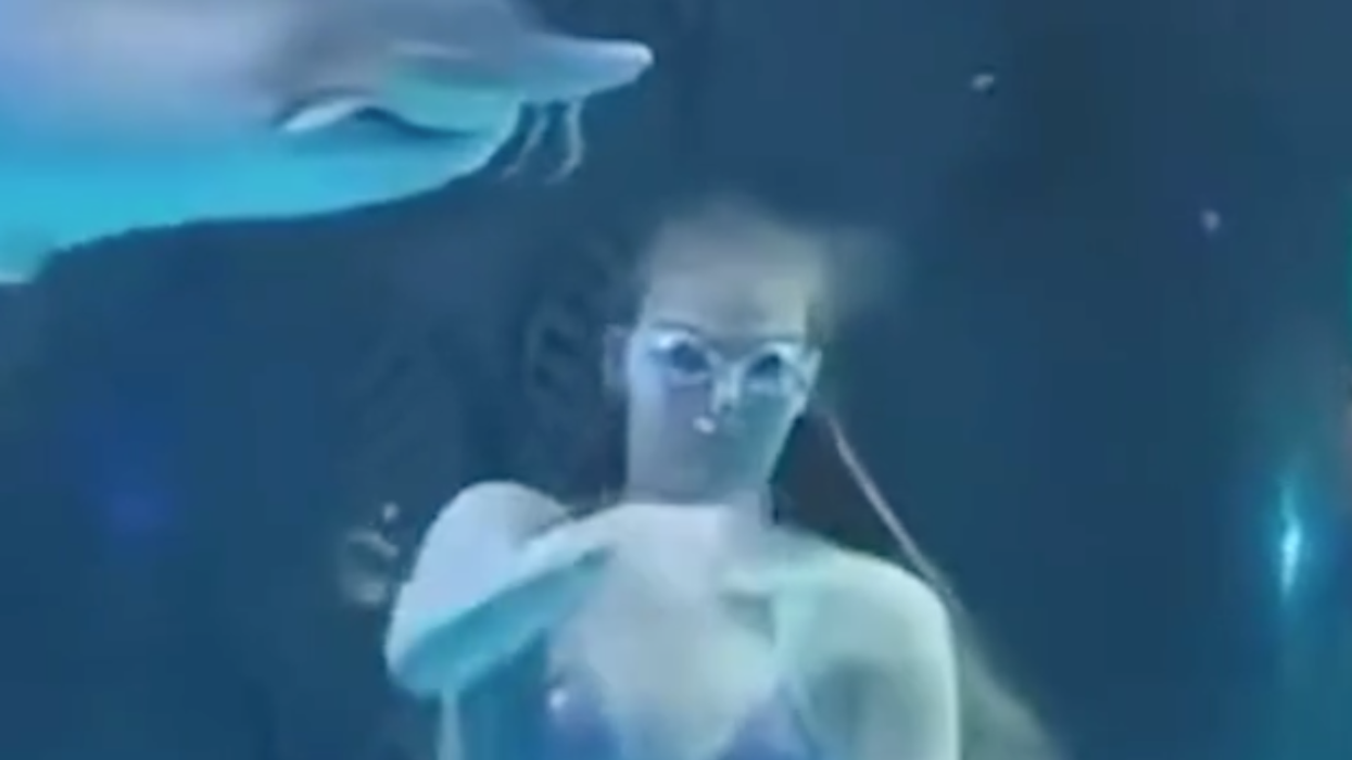 Massive Sturgeon Stuns Onlookers After Attacking Mermaid Performer Mid-Show In Wild Video