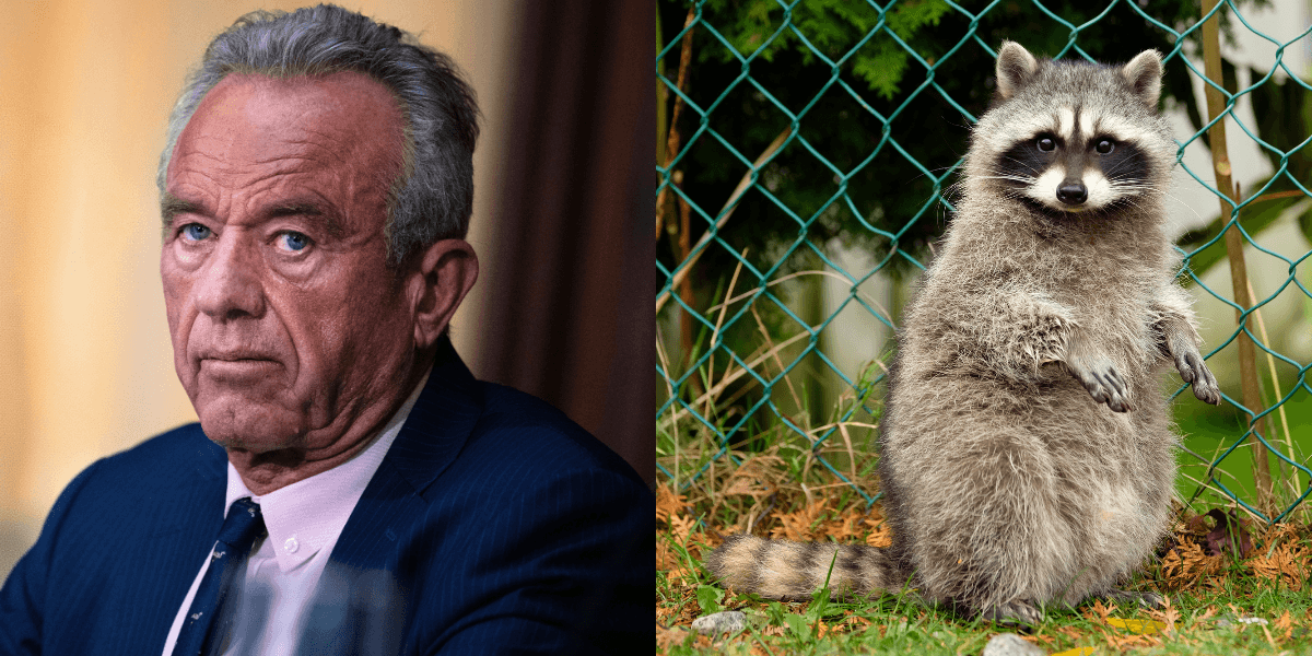 RFK Jr. Turns Heads After Gross Revelation About What He Once Did To A Dead Raccoon On Family Road Trip