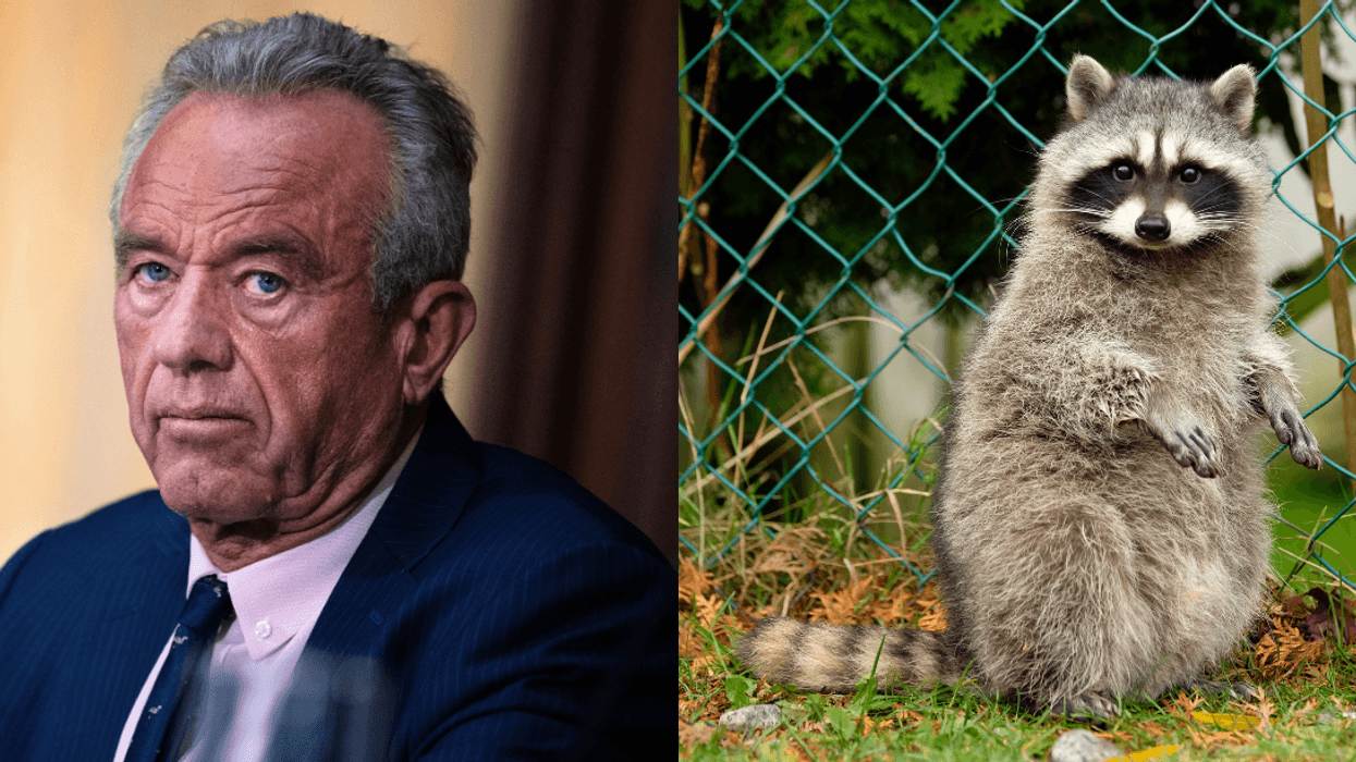 RFK Jr. Turns Heads After Gross Revelation About What He Once Did To A Dead Raccoon On Family Road Trip
