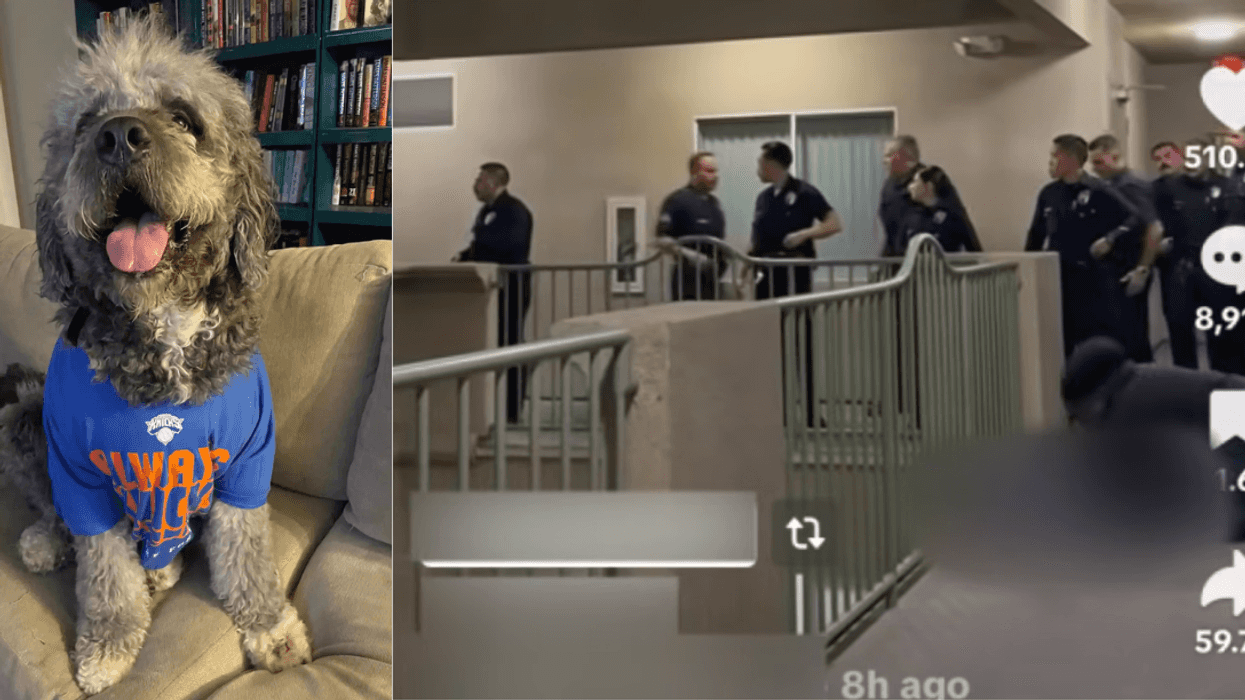 LAPD Sparks Outrage After Fatally Shooting Dog Of Family Who Was Celebrating Knicks Win