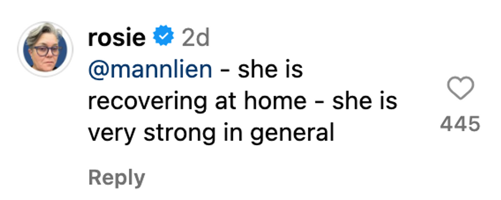 Instagram screenshot of @rosie's post