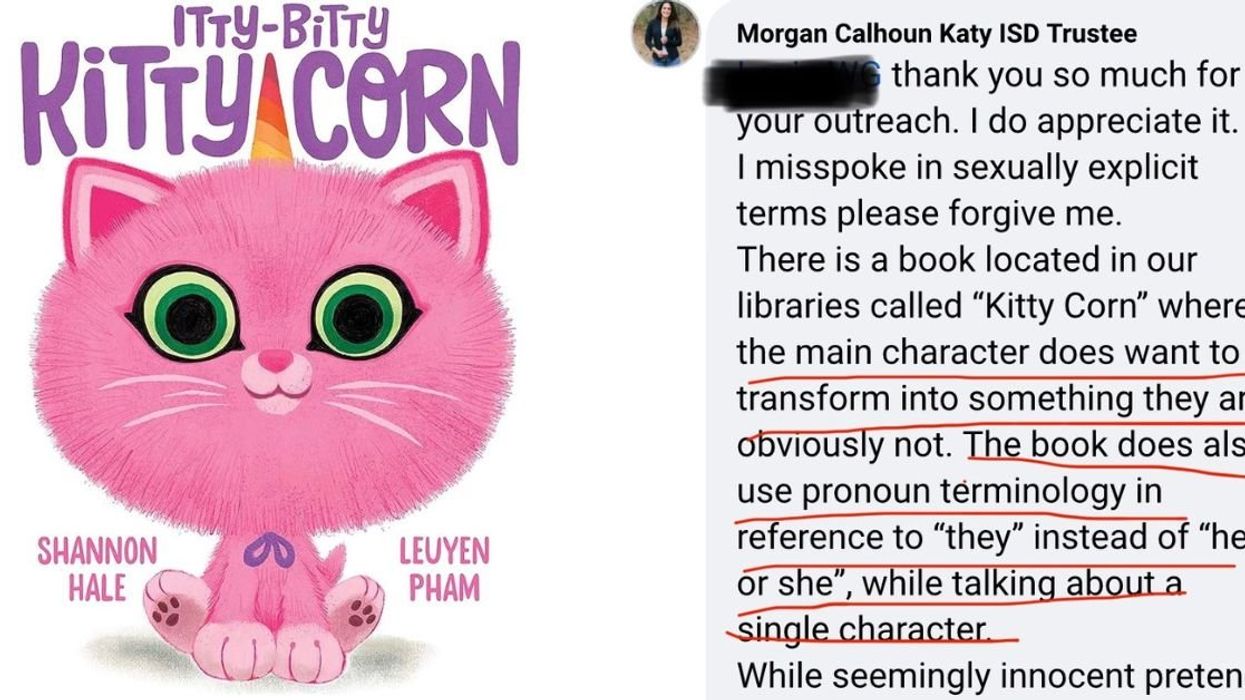 Itty-Bitty Kitty-Corn cover and Facebook comment