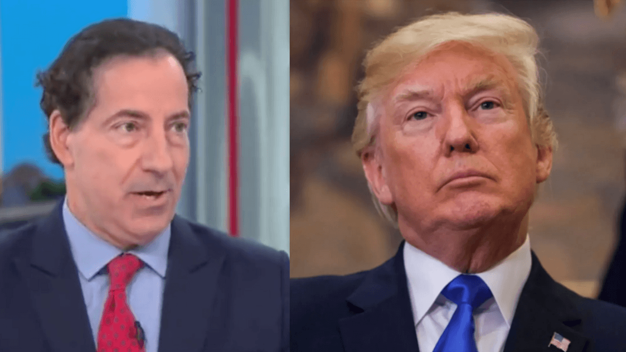 Jamie Raskin; Donald Trump