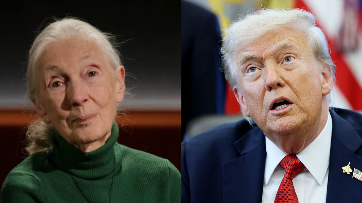 Jane Goodall; Donald Trump