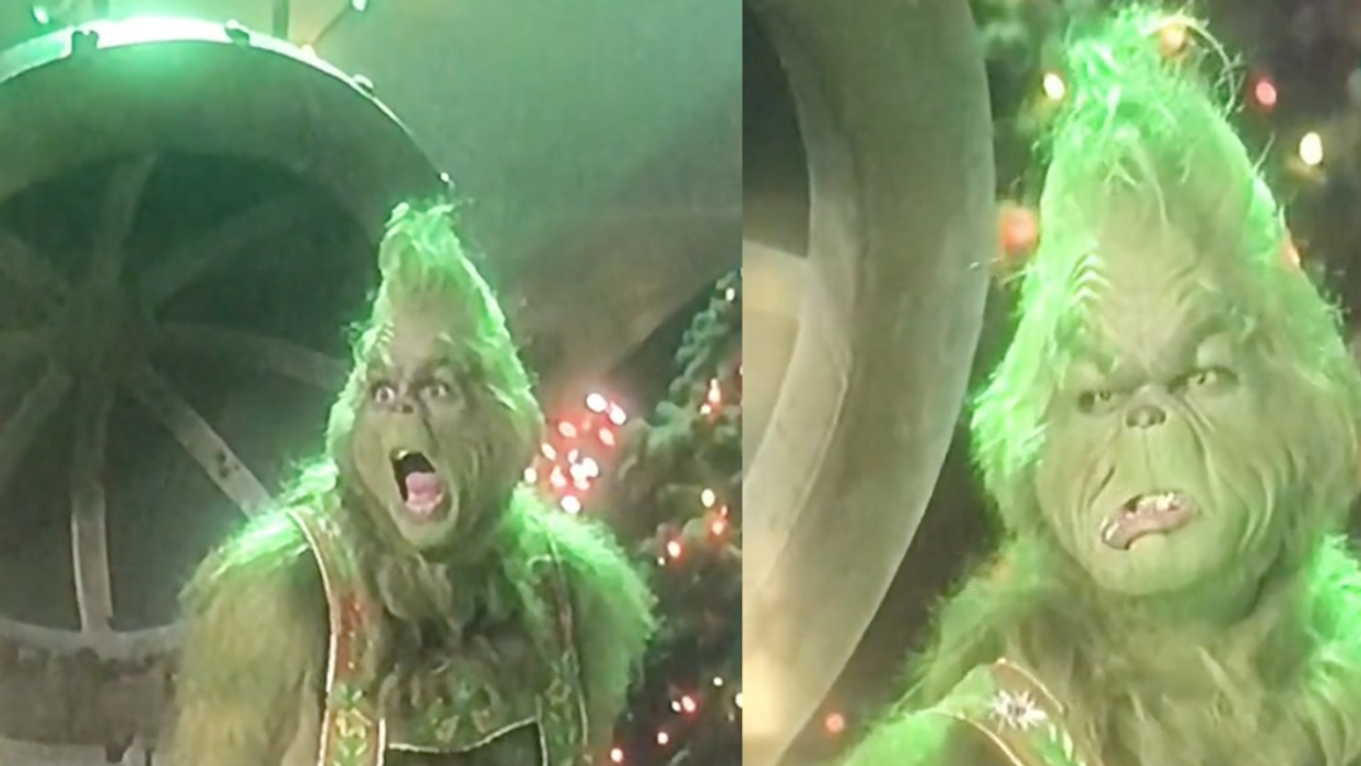 Jim Carrey as The Grinch
