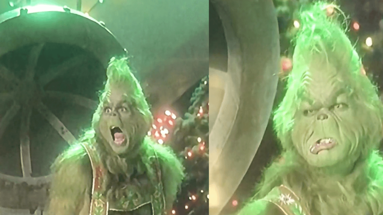 Jim Carrey as The Grinch