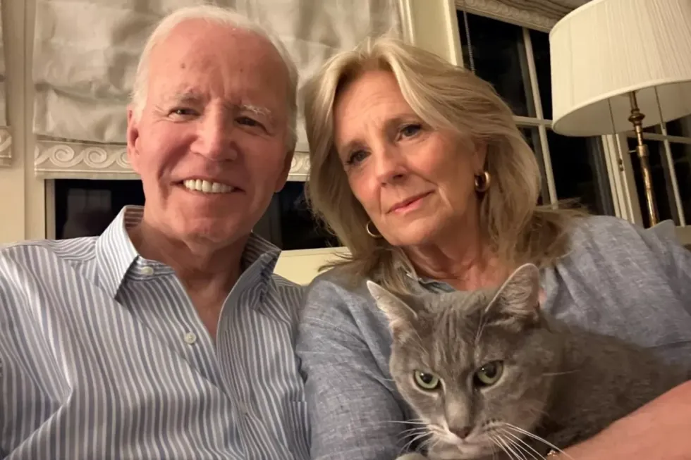 Joe and Jill Biden with their cat Willow