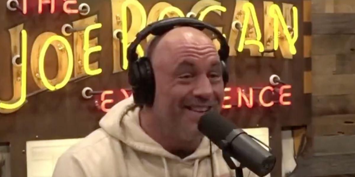 Joe Rogan Compares 'Red Wave' To 'The Shining': VIDEO - Comic Sands