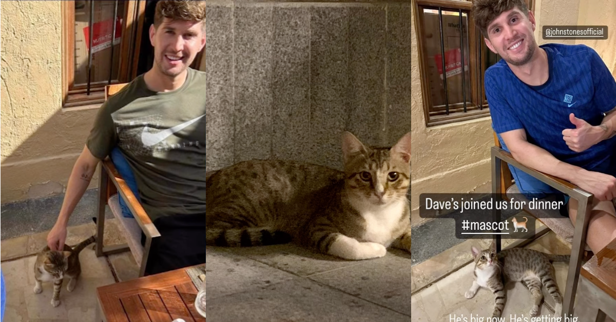 John Stones and Dave the Cat