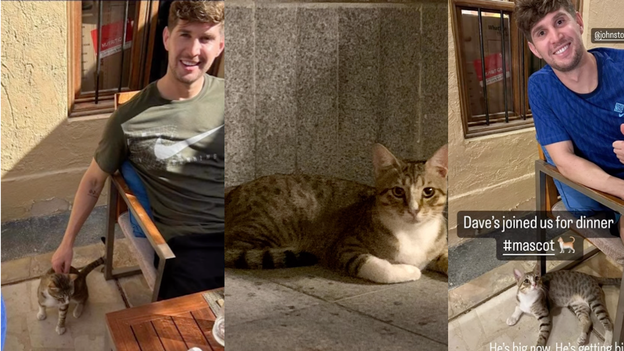 John Stones and Dave the Cat