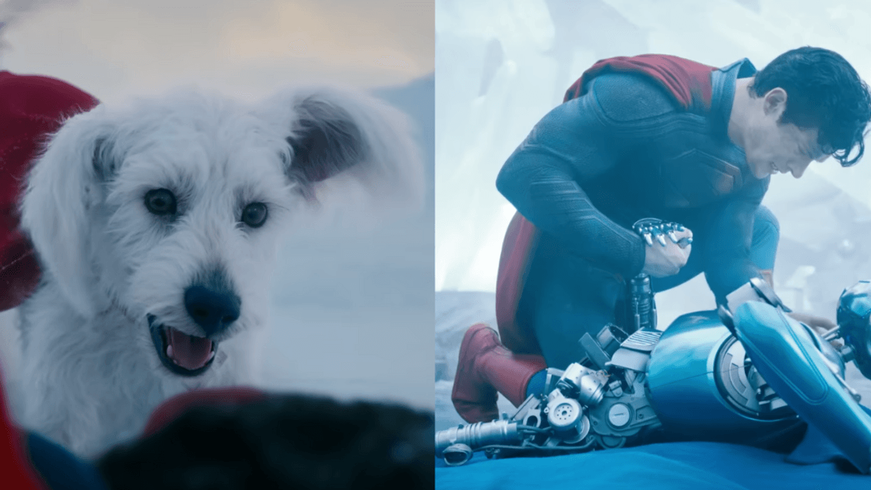 Krypto; Superman