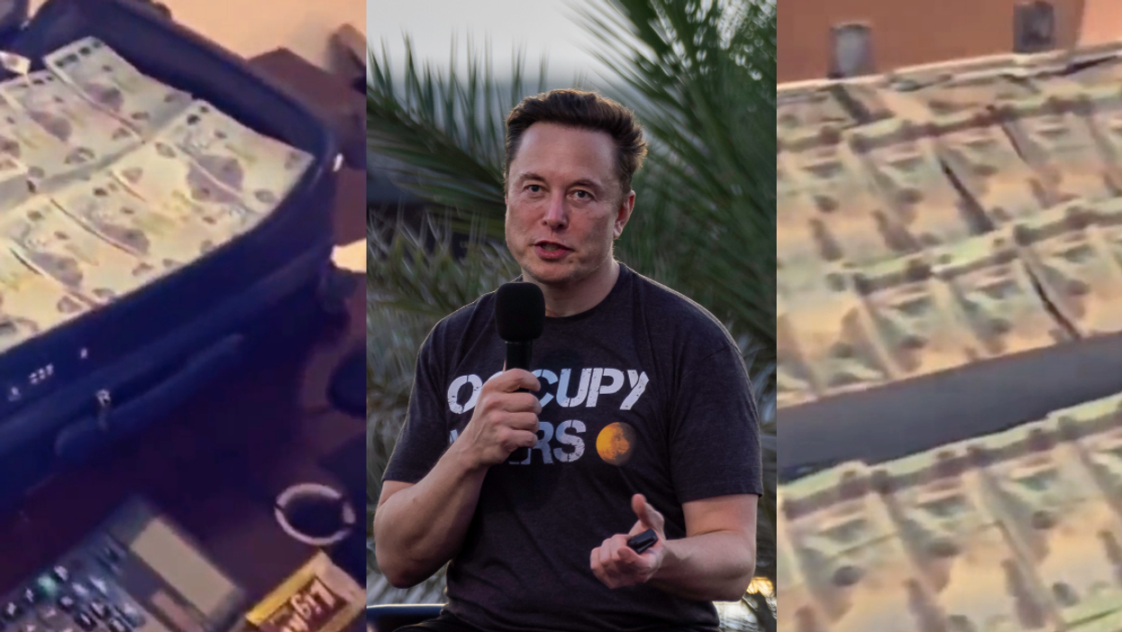 l and r: screenshots of cash from @iamraisini; center: Elon Musk