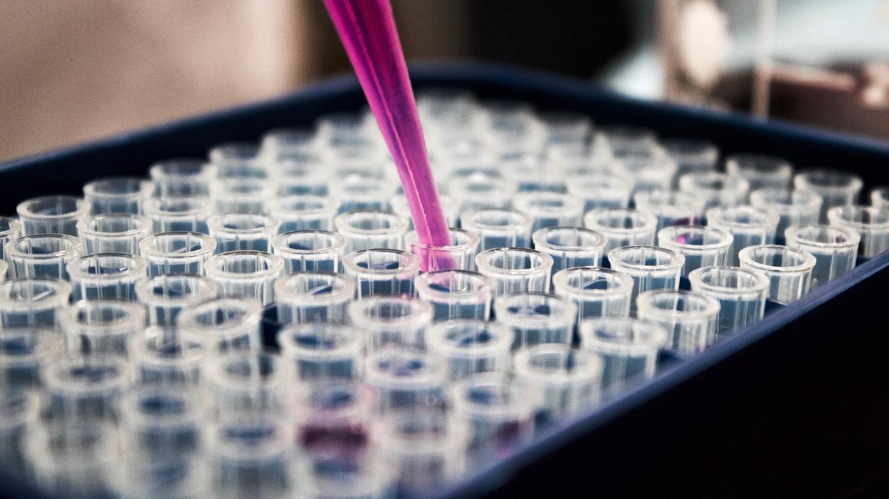 lab test with pipette and test tubes