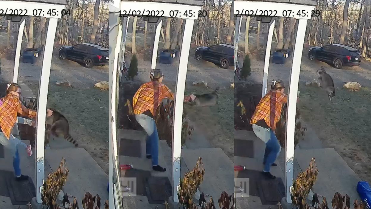 Logan Kelsey MacNamara removing a raccoon from her front porch