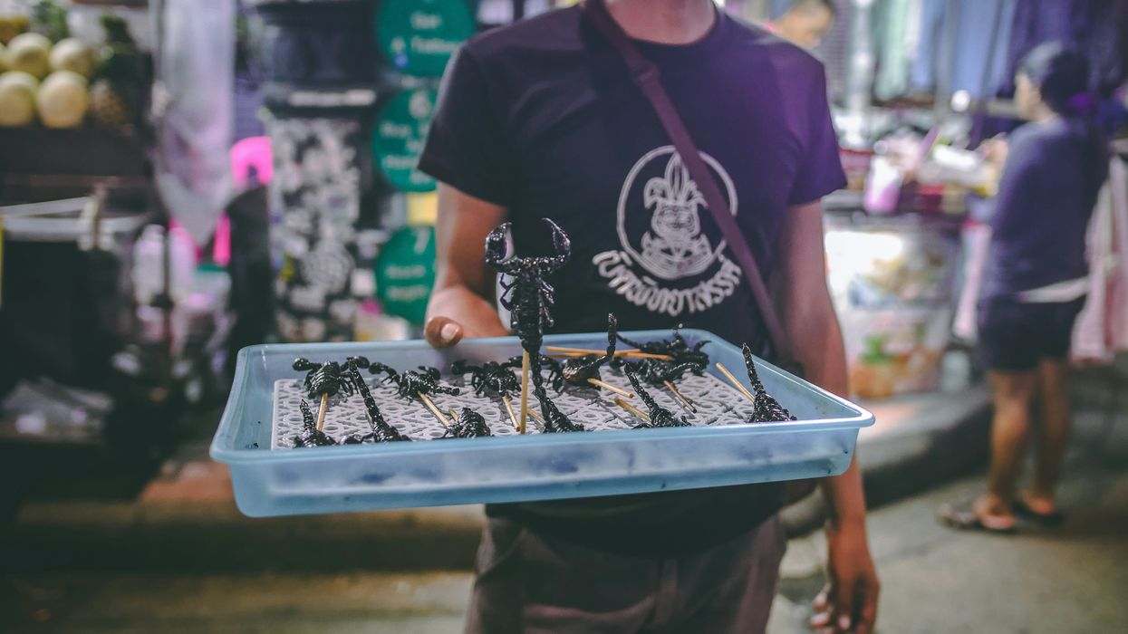 man carrying rectangular blue plastic tray of fried scorpions