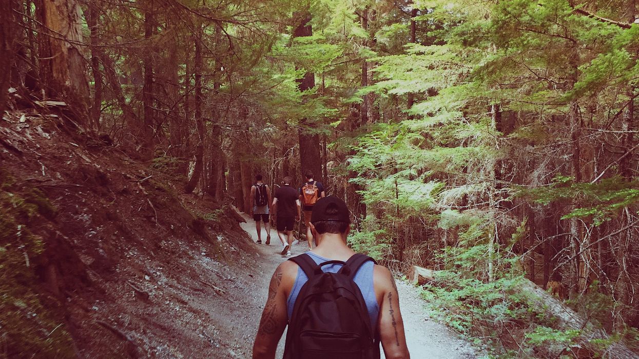 Man following hikers in the woods