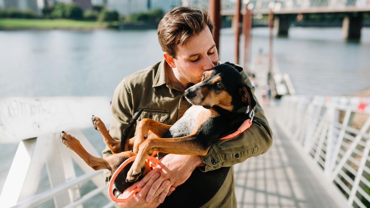 Man kissing dog while cradling it