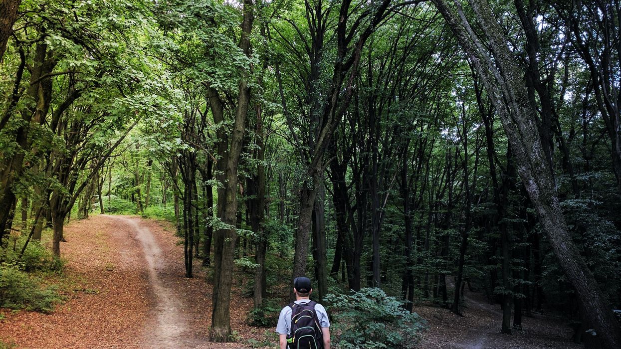 man standing in the middle of woods at a fork in the path