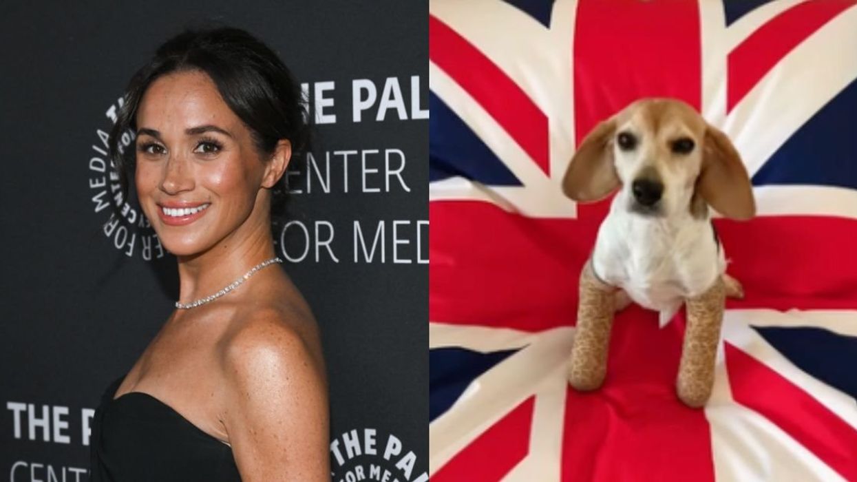 Meghan Markle; 'Guy,' Markle's beagle