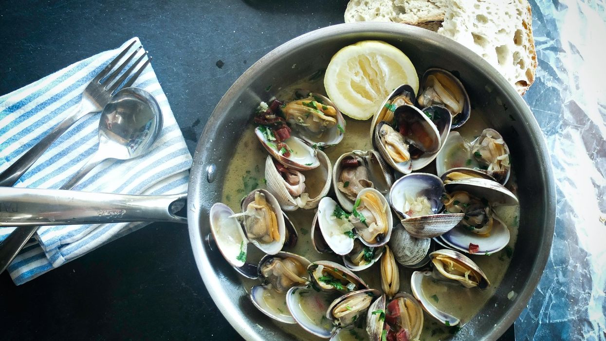 Metal bowl filled with scallops