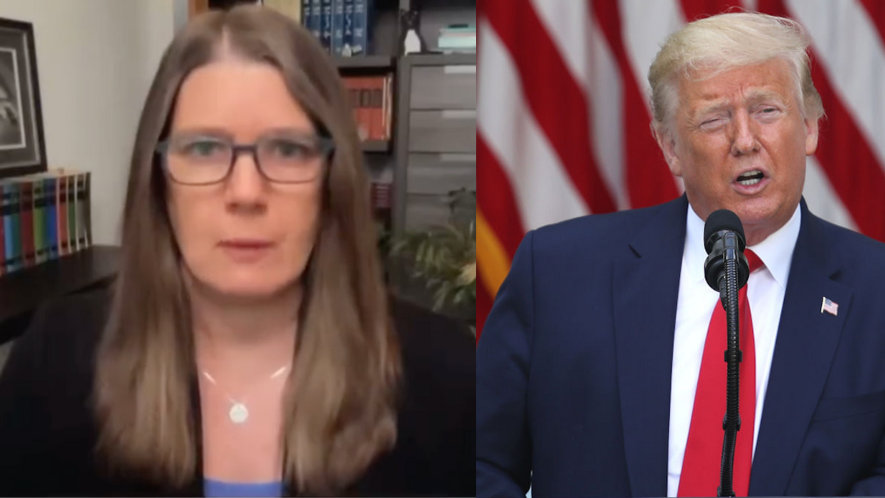 MSNBC screenshot of Mary Trump; Donald Trump