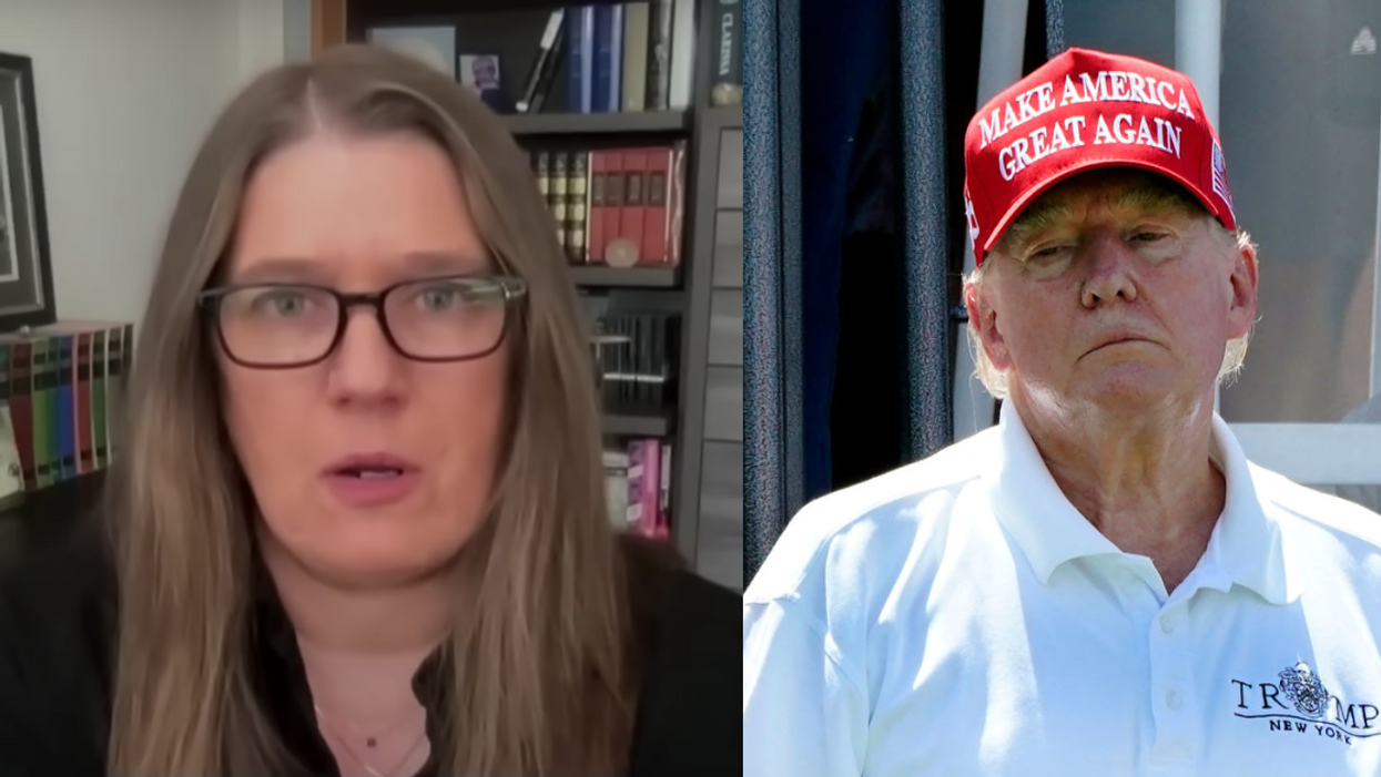 MSNBC screenshot of Mary Trump; Donald Trump