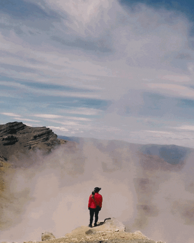 New Zealand travel GIF by Melly Lee