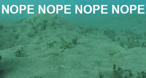 nope octopus GIF