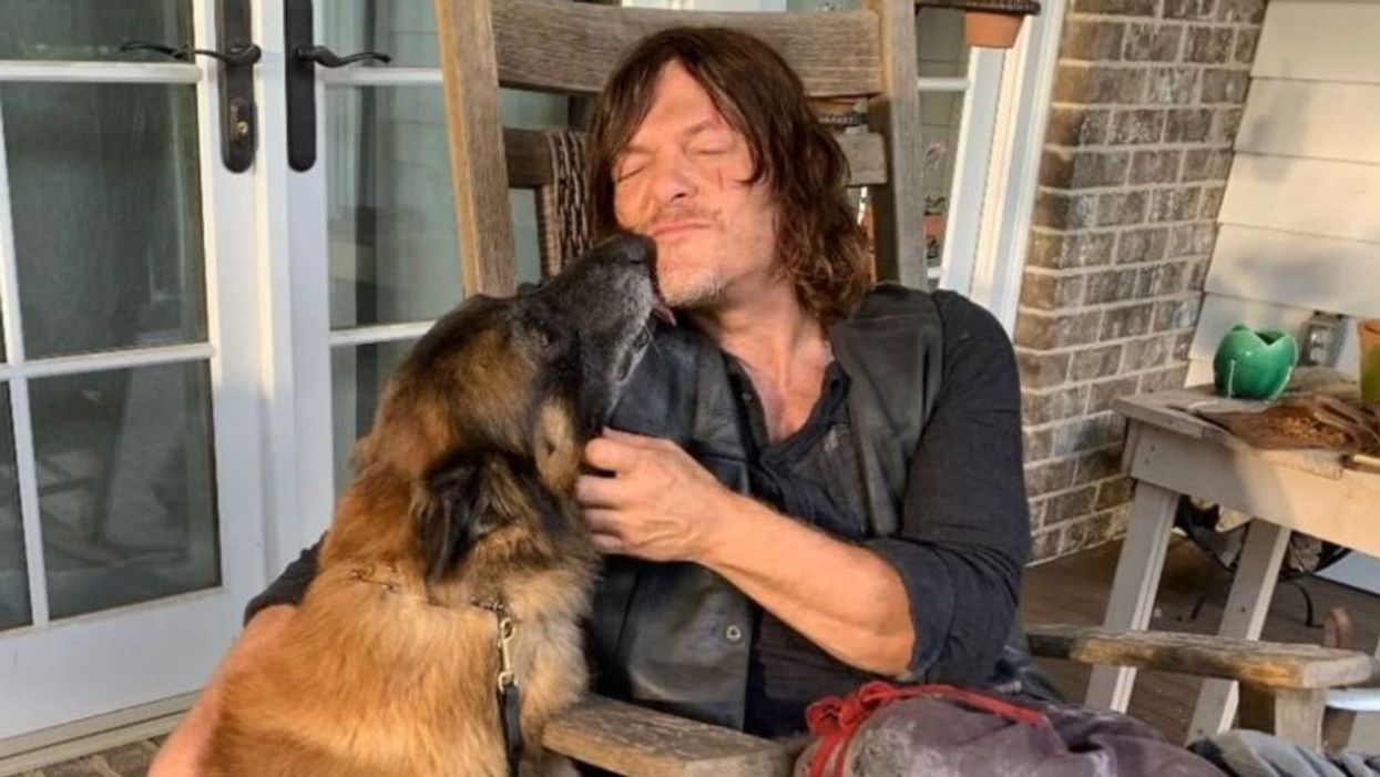 Norman Reedus with dog star from "The Walking Dead"