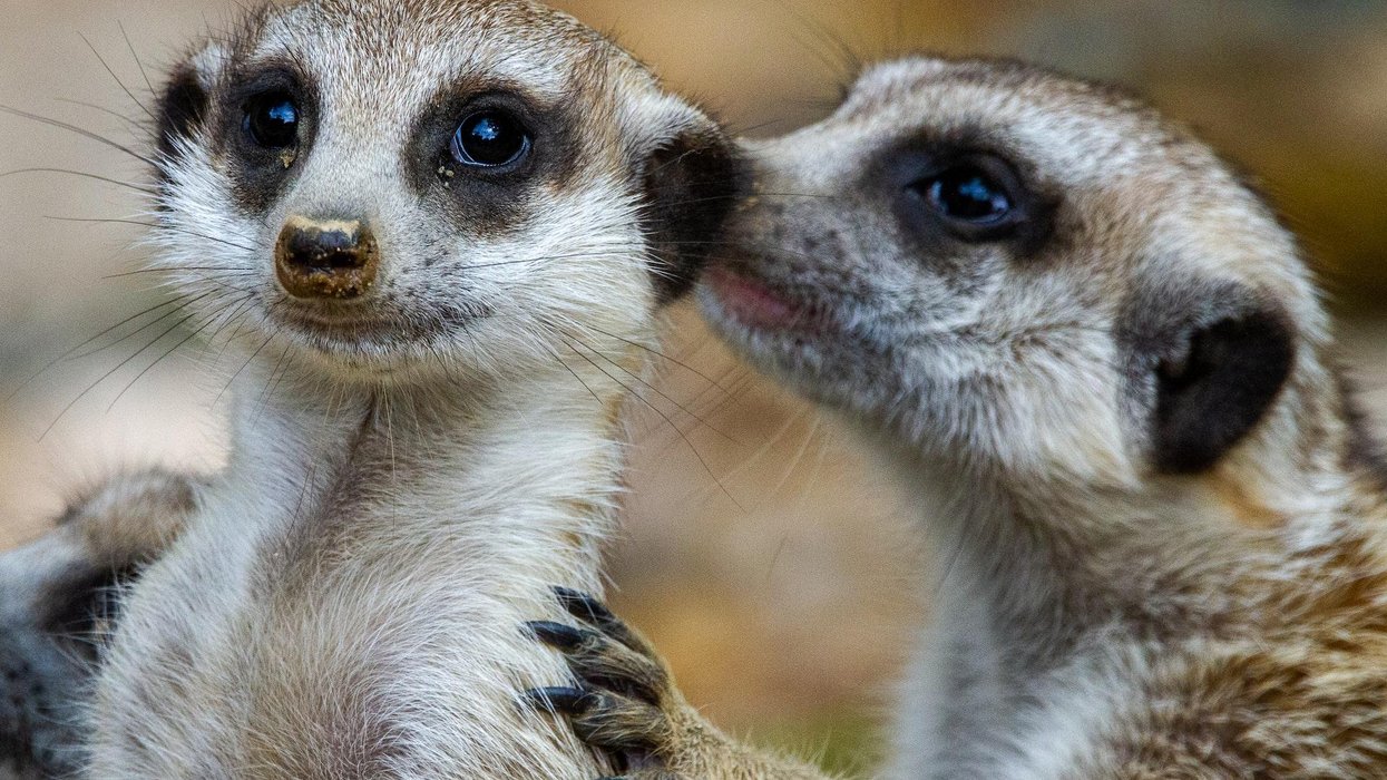 People Confess The Absolute Worst Things People Have Ever Said To Them On A Date