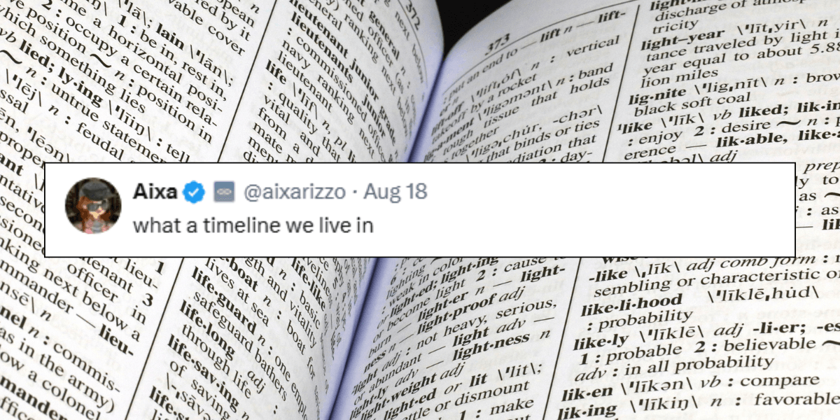 Cambridge Dictionary Adds 'Skibidi' & 6,000+ New Words - Comic Sands