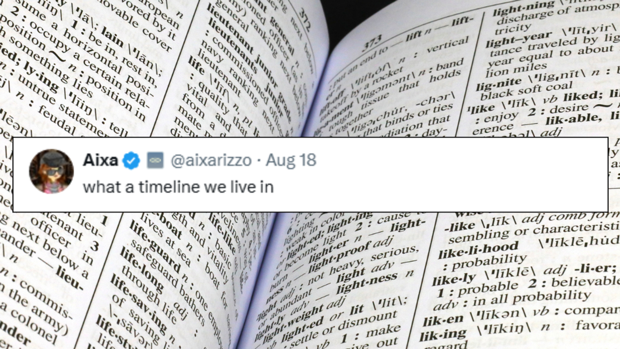 Open dictionary; Tweet by @aixarizzo