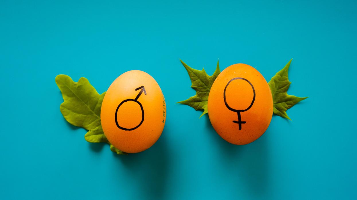 Oranges marked with male and female signs