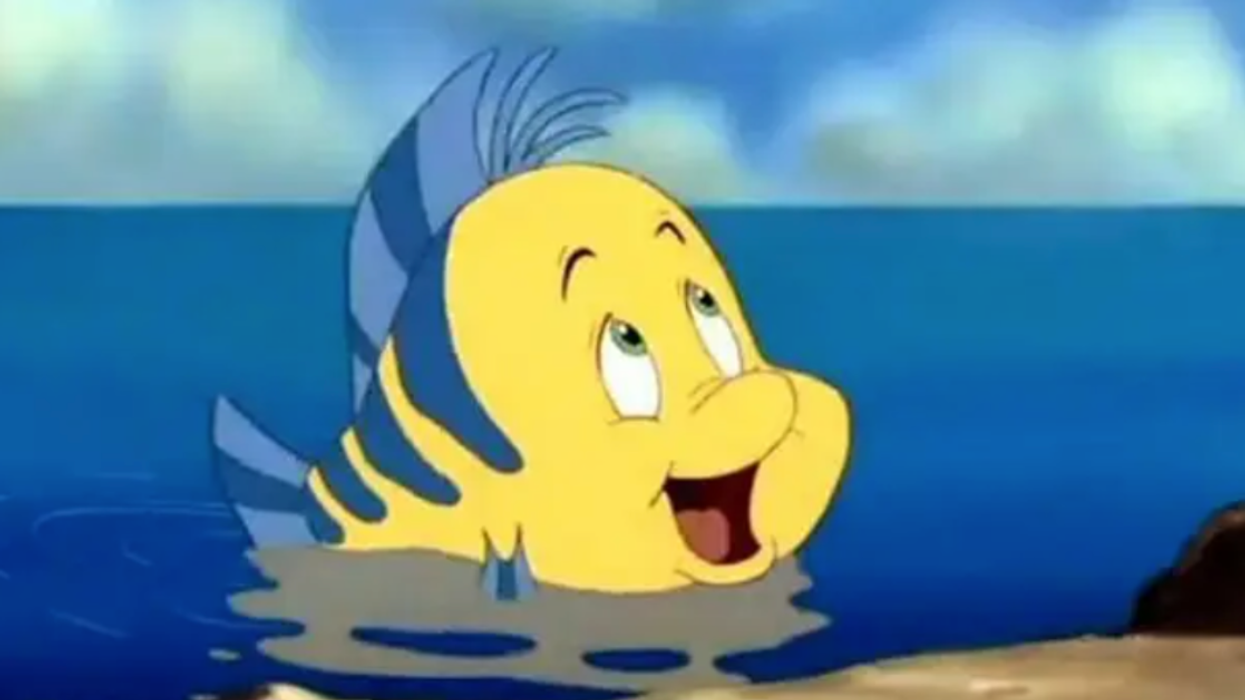 Original Flounder