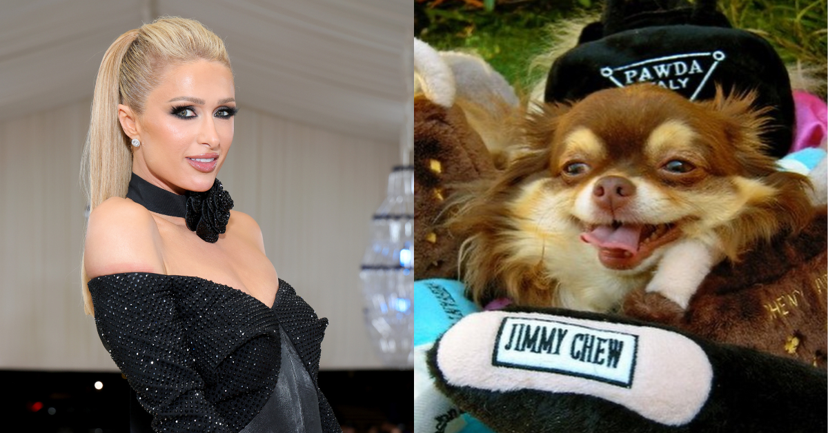 Paris Hilton; Harajuku B