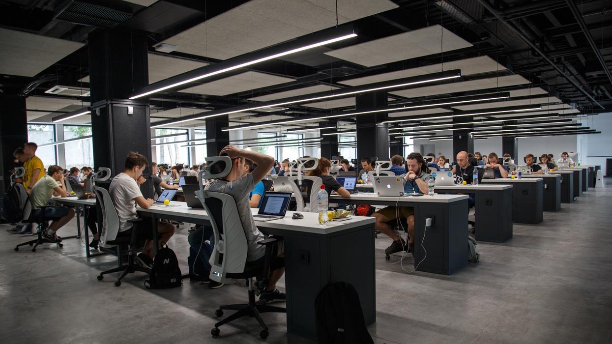 people doing office works