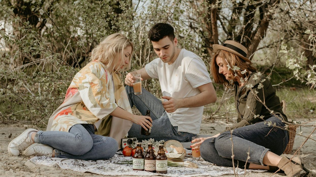people doing picnic during daytime