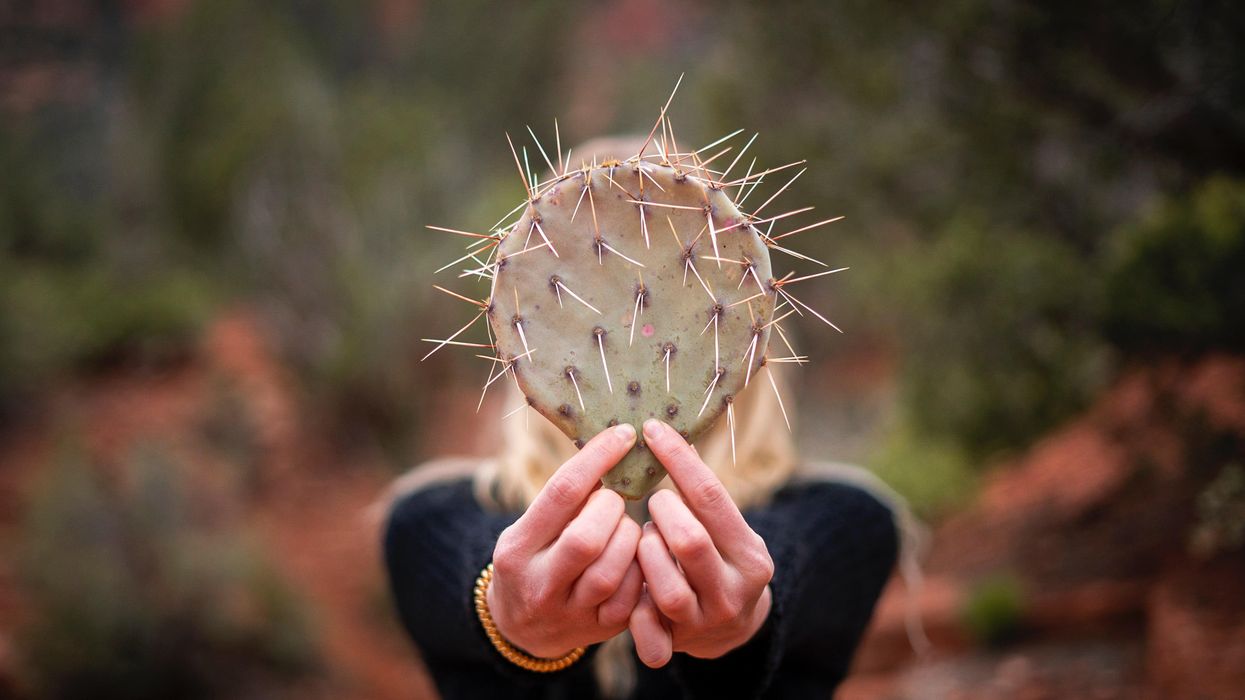 People Share The Best Responses To Being Called 'Ugly'