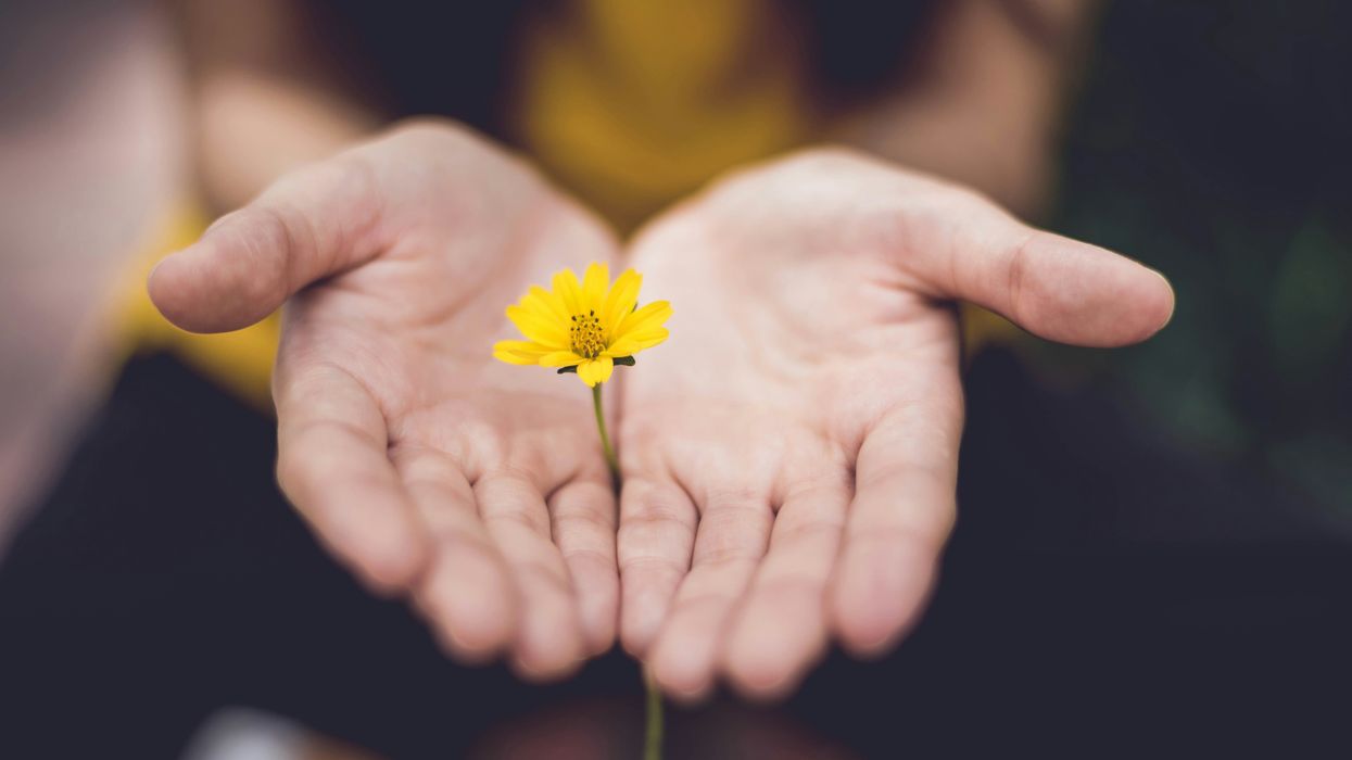 Person offering small flower