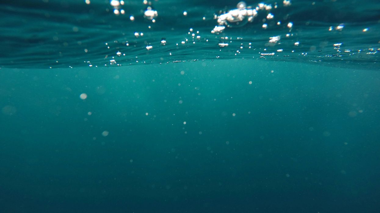 photo of underwater