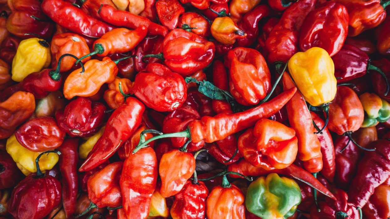 pile of hot chilies
