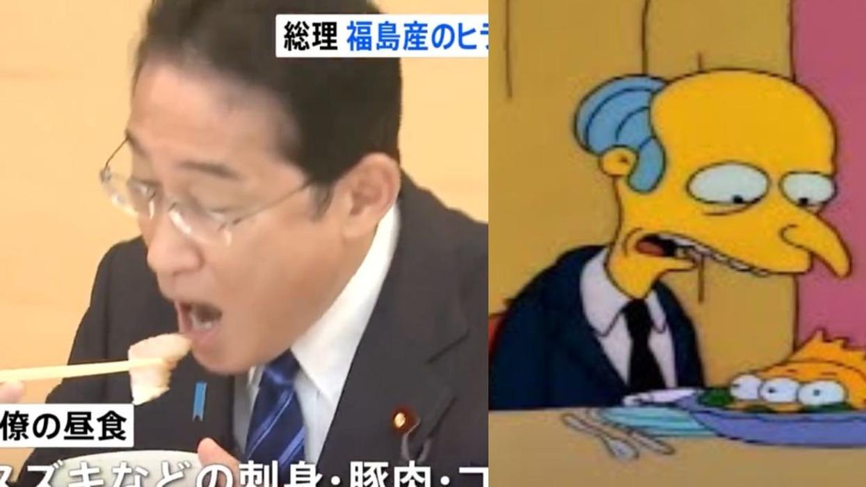 Prime Minister Fumio Kishida; The Simpsons