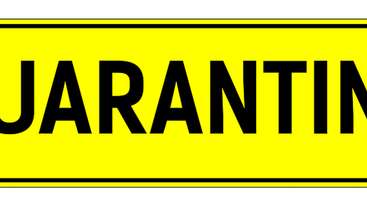 People Share The Saddest Thing They've Done To Pass Time In Quarantine